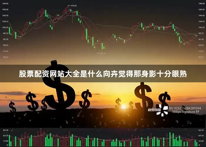 股票配资网站大全是什么向卉觉得那身影十分眼熟