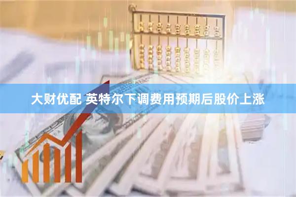 大财优配 英特尔下调费用预期后股价上涨