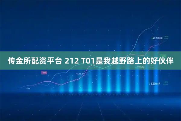 传金所配资平台 212 T01是我越野路上的好伙伴