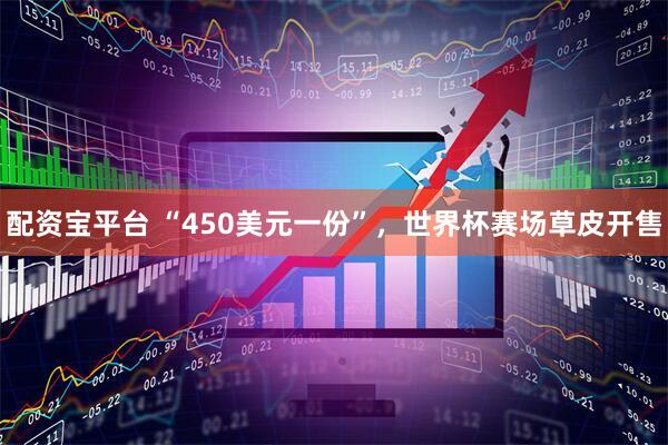 配资宝平台 “450美元一份”，世界杯赛场草皮开售