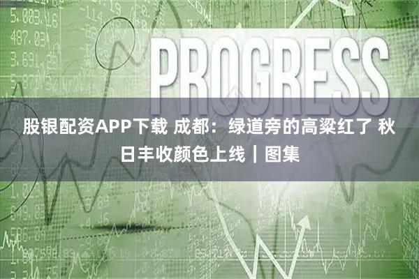 股银配资APP下载 成都：绿道旁的高粱红了 秋日丰收颜色上线｜图集